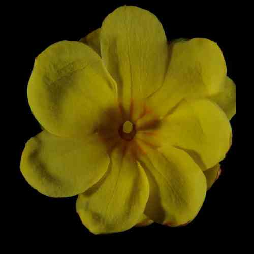 علی عابدی کفترامو ته ننه ننه جان گریه نکن این دیگه قسمت منه